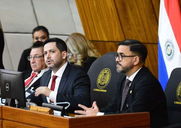 Diputados designa miembros para Bicameral de Presupuesto - Política - ABC Color