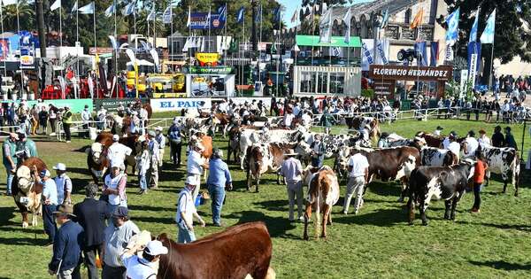La Nación / Foro Mercosur de la Carne rechaza medidas unilaterales de la UE