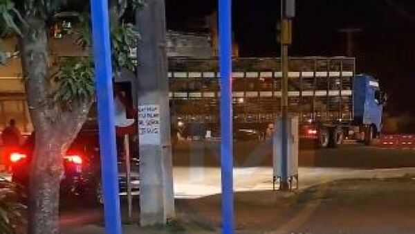 Semáforo Pedrozo: Camioneros apeligran al rollo girando a la izquierda pese a prohibición