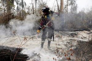 Sudamérica superó su récord de incendios en un año - ADN Digital