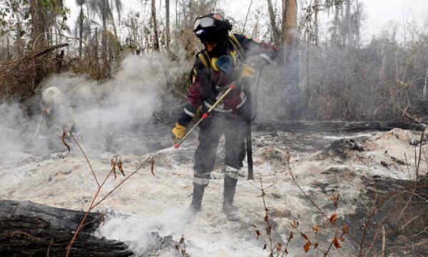 Sudamérica superó su récord de incendios en un año – Prensa 5