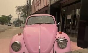 (VIDEO)¡Robaron la pestaña de icónica fusca rosa!