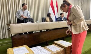 Hay 4 oferentes en puja para fiscalizar segunda etapa de la Terminal Portuaria de Presidente Franco