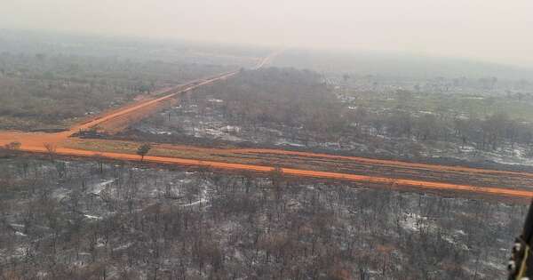 Diario HOY | Devastador panorama en el Chaco con bosques completamente desaparecidos