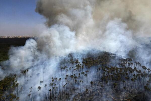 Récord de incendios forestales en Sudamérica - trece