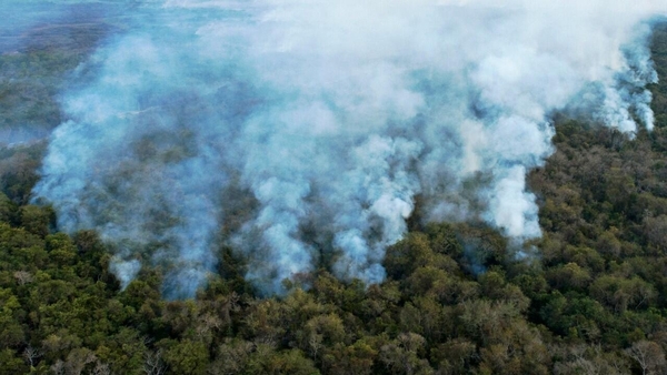 Incendios forestales están arrasando en Sudamérica - Unicanal