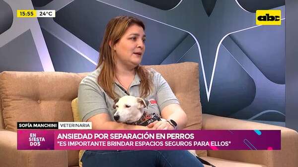 Ansiedad por separación en perros: tu can podría tenerlo - Ensiestados - ABC Color