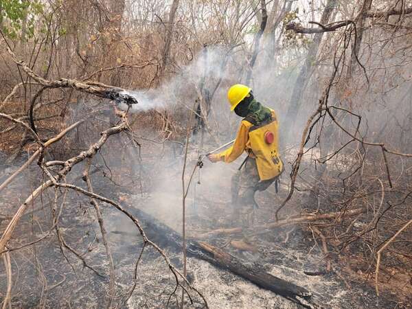 Muestran imágenes del Chaco tras unas 190.000 hectáreas incendiadas - Nacionales - ABC Color
