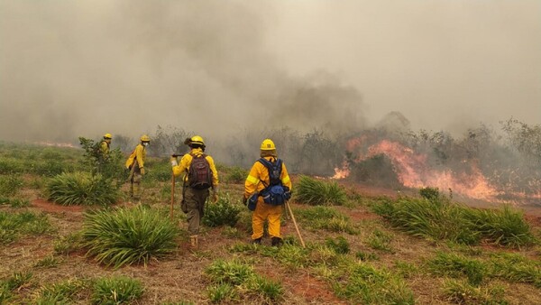 “Los bomberos realmente son unos héroes", destaca director del Ineram