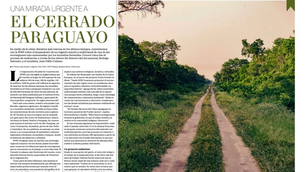 Revista Pausa: Una edición para reflexionar