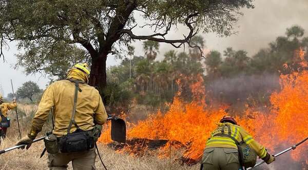 Bomberos solicitan con urgencia botas para seguir combatiendo incendios en el Chaco - Noticiero Paraguay