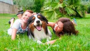 Tenencia de mascotas: la importancia de crear vínculos de cariño, respeto y protección - Mascotas - ABC Color