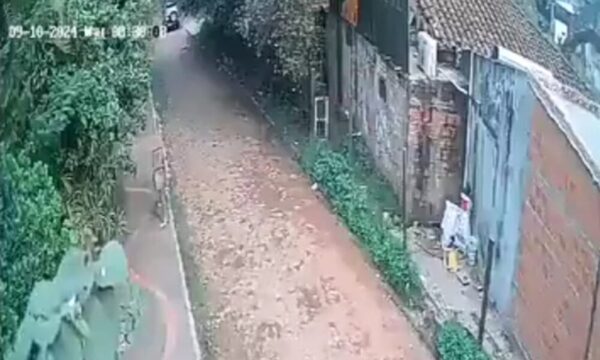 (VIDEO)Motobolt cayó a causa de perros