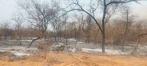 En medio de las carencias, la “brigada Yaguareté” se destaca en la lucha contra los incendios forestales - Noticias del Chaco - ABC Color