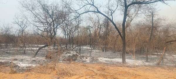 En medio de las carencias, la “brigada Yaguareté” se destaca en la lucha contra los incendios forestales - Noticias del Chaco - ABC Color