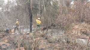 Lluvias aplacan incendios forestales en el Chaco: Sin focos de calor en áreas protegidas, reporta Mades