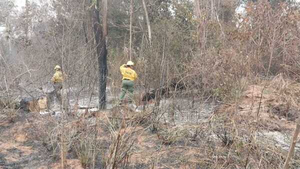 Lluvias aplacan incendios forestales en el Chaco: Sin focos de calor en áreas protegidas, reporta Mades