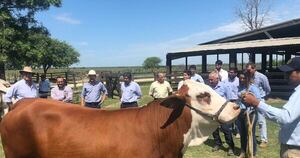 La Nación / Avanzan negociaciones para exportar material genético bovino a Costa Rica