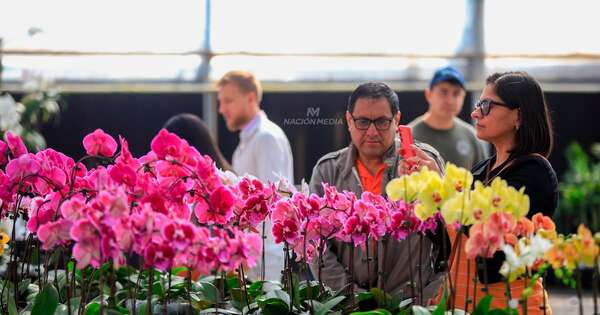 La Nación / La sexta edición de la “Flori Feria” celebra la llegada de la primavera