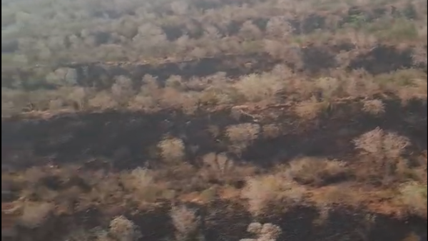 Video: Así quedó parte del Chaco tras las lluvias que aplacaron los incendios forestales
