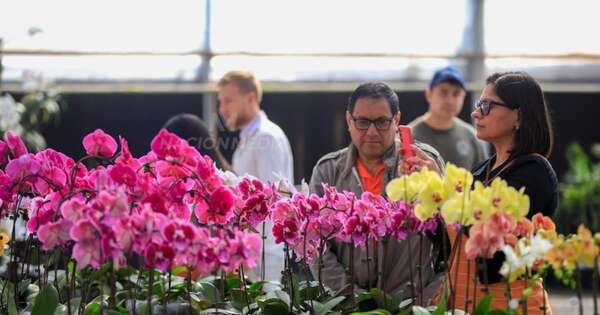 La Nación / “Flori Feria” celebra la llegada de la primavera