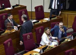 Legisladores “asaltan” bolsillo de los contribuyentes para salvar su caja jubilatoria - Política - ABC Color