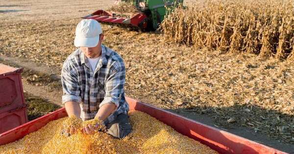 La Nación / Caída en la venta de soja y escasez de dólares siguen presionando al alza, indican