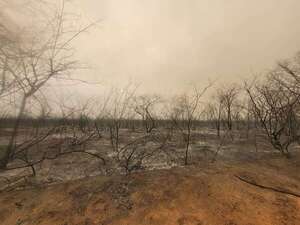 Incendios forestales: piden no apuntar solo a incendiarios sino también al Infona - Nacionales - ABC Color
