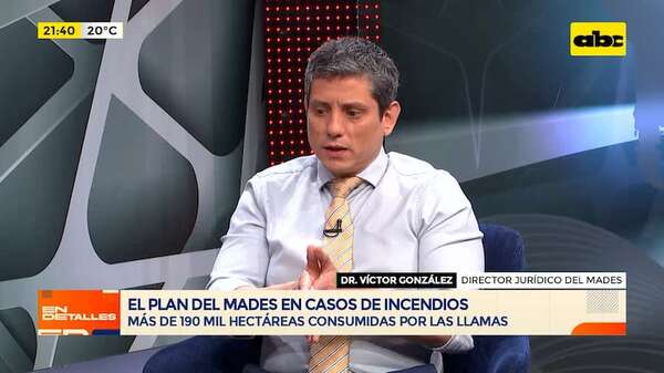 Inconciencia humana hizo arder el Chaco: “coinciden las condiciones climáticas” - En Detalles - ABC Color