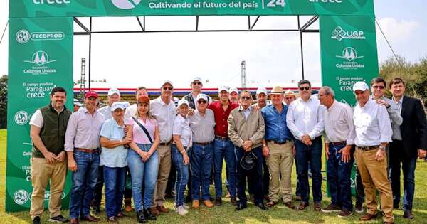 La Nación / Campaña sojera 2024: productores esperan sembrar 3,5 millones de ha