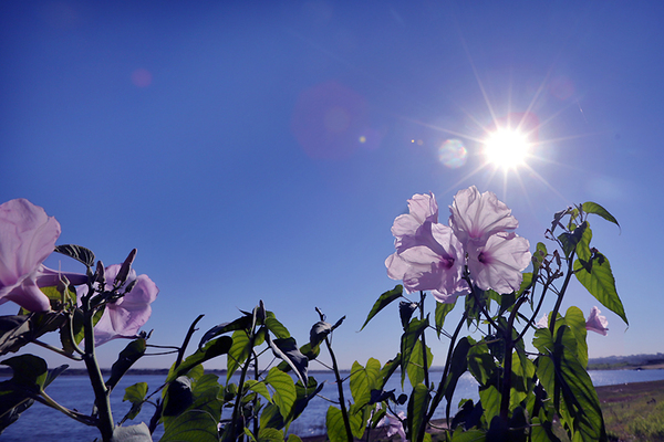 Lunes soleado y sin lluvias en gran parte del país - ADN Digital