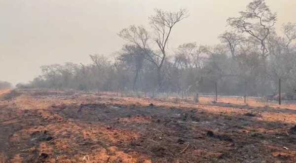 Las lluvias apagaron el fuego en el Chaco - San Lorenzo Hoy