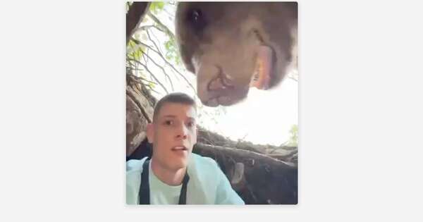 Diario HOY | “¡Increíble! Bloguero se encuentra cara a cara con un oso en su madriguera