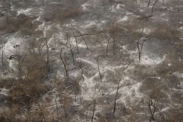 Incendio en el Chaco: mortandad de la fauna es “incalculable” - Nacionales - ABC Color