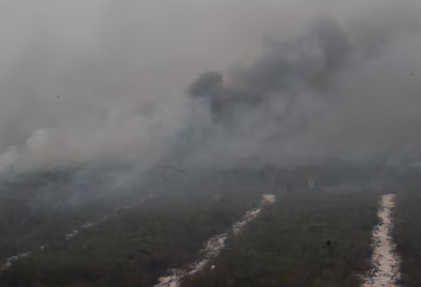 Incendios en el Chaco: Fiscalía cita a presuntos autores