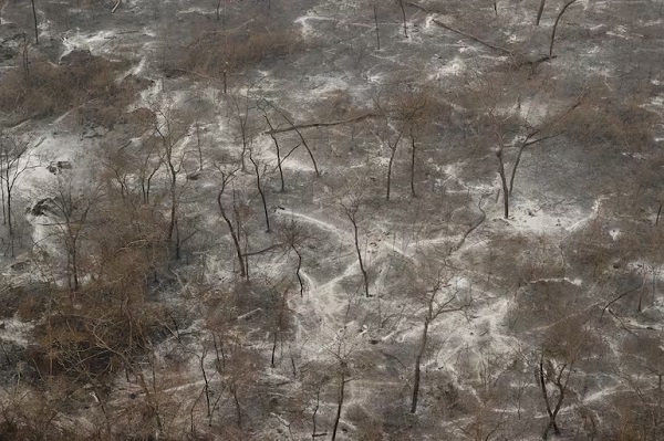 Devastador incendio en el Chaco deja 180.000 hectáreas calcinadas