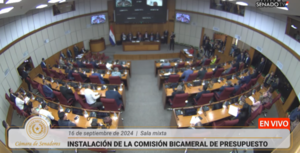 Comisión Bicameral de Presupuesto inicia análisis del PGN 2025