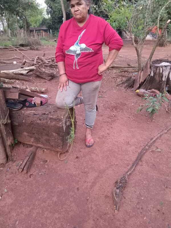 DOÑA DENUNCIA A UN PROFESOR DE HURTAR SUS MANDIOCAS