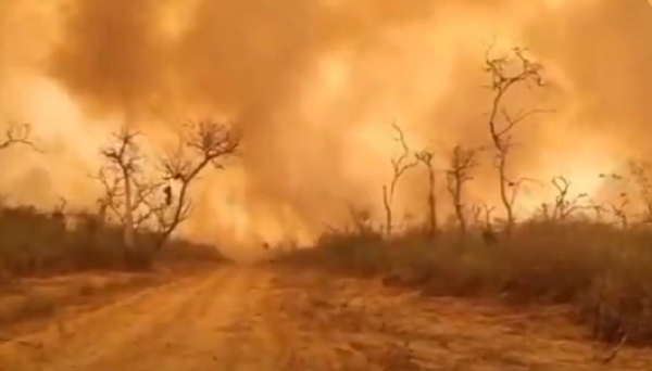 Citan para declarar a propietarios de inmuebles donde se habrían iniciado incendios en cerro Chovoreca