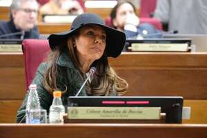 Caja Parlamentaria “se convirtió en una carga”: Celeste Amarilla señala que a este paso “todo va a colapsar” - Política - ABC Color