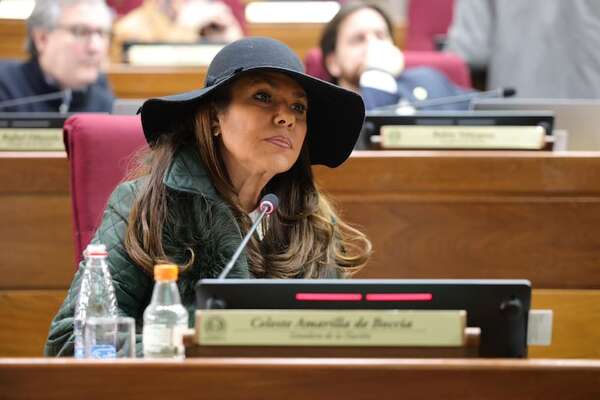 Caja Parlamentaria “se convirtió en una carga”: Celeste Amarilla señala que a este paso “todo va a colapsar” - Política - ABC Color