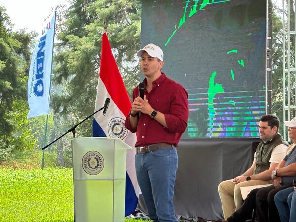 Santiago Peña «No tenemos un proyecto» sobre cambios en Código Laboral