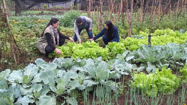 Mujeres convierten la huerta en antídoto contra el estrés