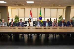 Ministra de Obras Públicas asumió hoy como consejera de Itaipú - Economía - ABC Color