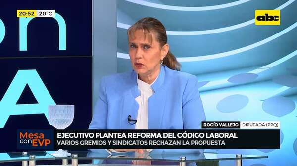 Estabilidad laboral: “hay que debatir ampliamente dando participación a todos”, menciona diputada - Mesa de Periodistas - ABC Color