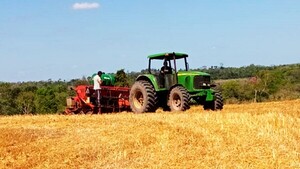 El Sur inició siembra masiva, expectante ante clima favorable