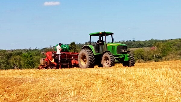 El Sur inició siembra masiva, expectante ante clima favorable