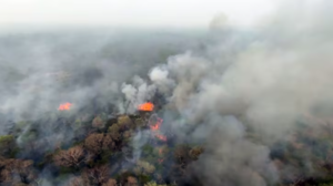 Incendio se reactiva en el centro de Chovoreca