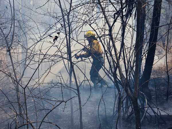 Mañana declararán presuntos propietarios de inmuebles donde se habrían iniciado incendios en cerro Chovoreca