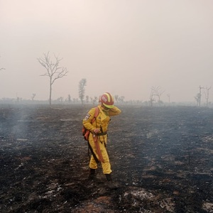Se reactivan focos de incendio en Chovoreca, Chaco
